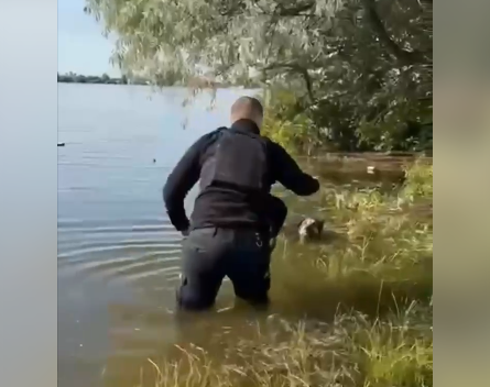 Полицейский спас собаку из водяной ловушки на Херсонщине, видео