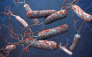 Теракт на Каховській ГЕС: є загроза спалаху холери внаслідок руйнування дамби