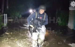 В патрульной полиции показали фрагменты эвакуации из Херсонщины: видео