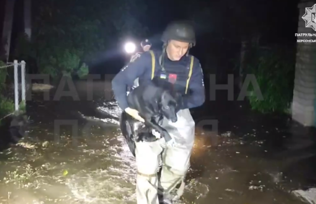 У патрульній поліції показали фрагменти евакуації з Херсонщини: відео