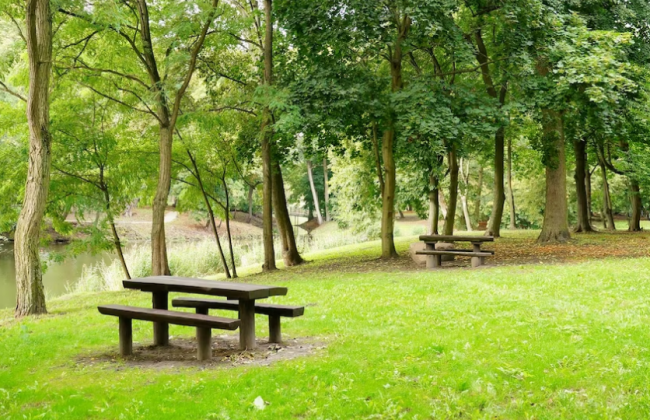 Какой уровень загрязненности воздуха и радиационный фон в Киеве 7 июня