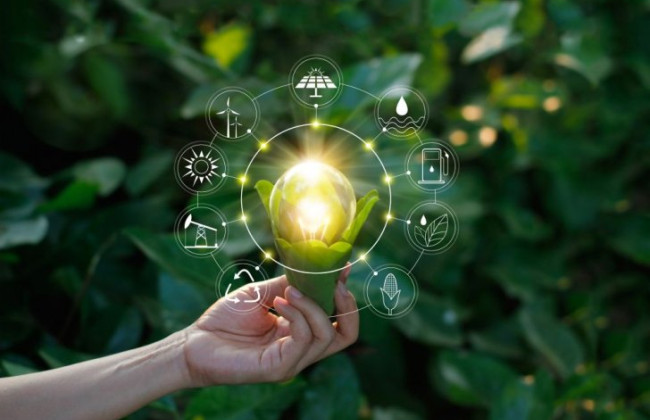 В Украине впервые в истории выдали лицензию на хранение энергии