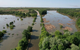 Більшість живих організмів загине через знищення Каховської ГЕС, — екологи