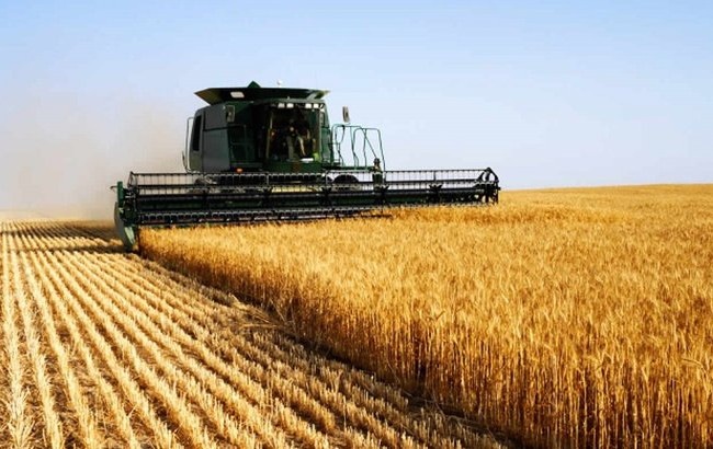 В Украине упростили купли-продажу сельхозземель до 2 гектаров – вступил в силу закон