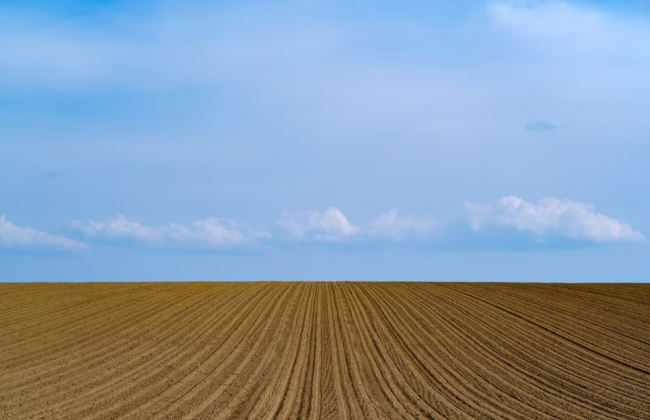 Вчасно не подали до податкового органу заяву та документ про пільгу: чи може скористатись пільгою по земельному податку фізособа
