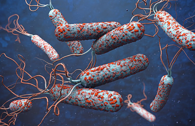 Угроза кишечных инфекций после подрыва Каховской ГЭС: как распознать холеру, первые симптомы