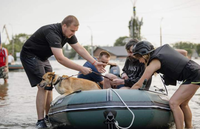 Постраждалі від підриву Каховської ГЕС отримають компенсації в рамках єВідновлення – Шуляк
