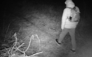 Киянин намагався потрапити в Угорщину, «прихопивши» фотопастку прикордонників, яка його знімала