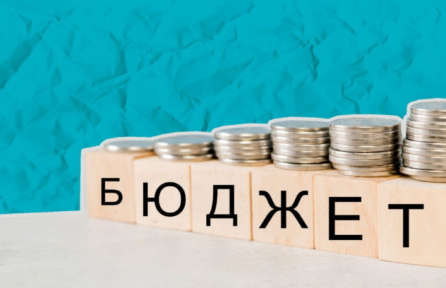 Комітет рекомендував Уряду посилити контроль за правомірністю надання податкових пільг і їх цільовим використанням