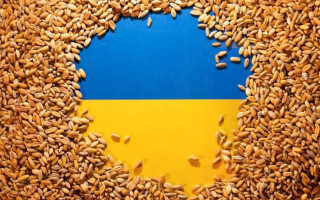У G7 запропонували спосіб, як розпізнати крадене рф українське зерно
