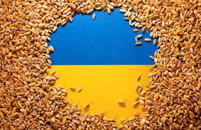 В G7 предложили способ, как распознать краденое рф украинское зерно
