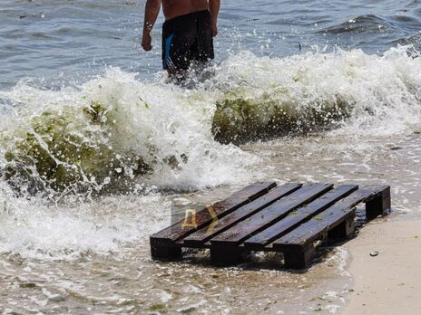 На Одещині в морській воді виявили кишкову інфекцію та сальмонелу