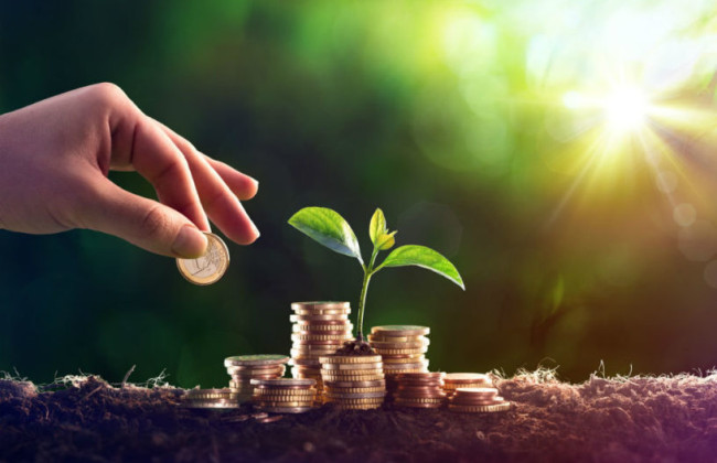 Кабмін затвердив порядок визначення втрат лісогосподарського виробництва