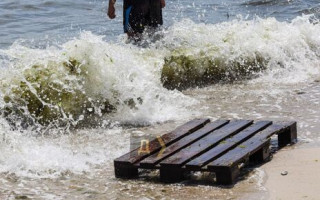На Одещині в морській воді виявили кишкову інфекцію та сальмонелу