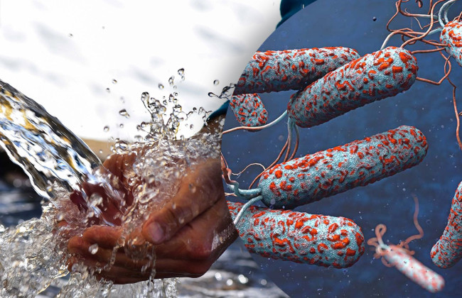 В Украине не зафиксированы случаи холеры: однако Минздрав не исключает вспышек болезни