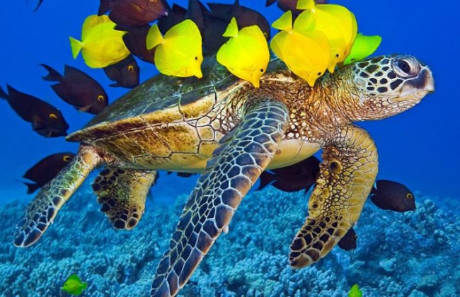 16 июня: какой сегодня праздник и главные события в Украине и мире