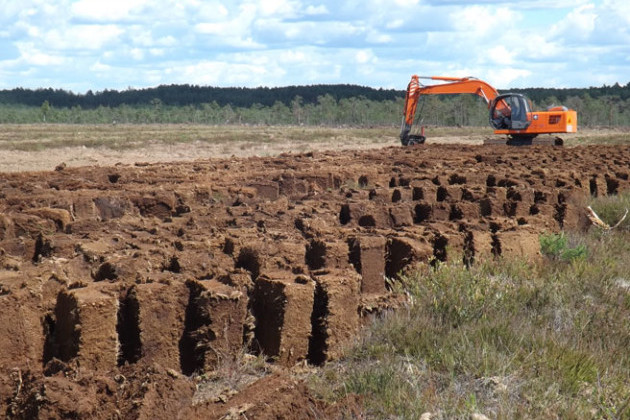 Незаконний видобуток торфу зі збитками у понад 1,6 млн на Київщині: судитимуть учасників злочинної групи