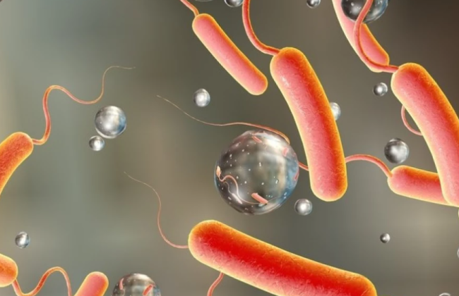 В Молдове предупредили об угрозе вспышки холеры