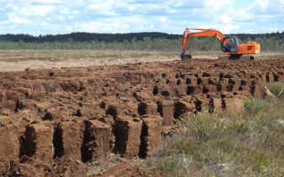 Незаконний видобуток торфу зі збитками у понад 1,6 млн на Київщині: судитимуть учасників злочинної групи