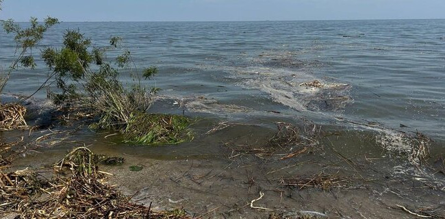 На Одещині заборонили купатися та ловити рибу: у воді багато патогенів