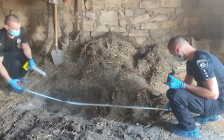 В Одеській області чоловік вбив дружину і брехав, що вона поїхала за кордон