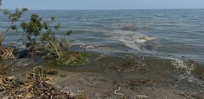 На Одещині заборонили купатися та ловити рибу: у воді багато патогенів