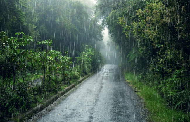 У Києві та області ремонтні бригади ДТЕК переведені у посилений режим