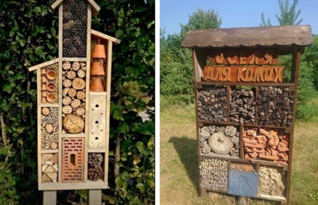 У Києві хочуть облаштувати готелі для комах