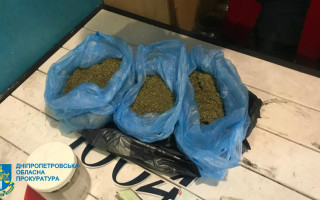 Выращивали коноплю на собственных огородах: на Днепропетровщине ликвидирован канал сбыта наркотиков