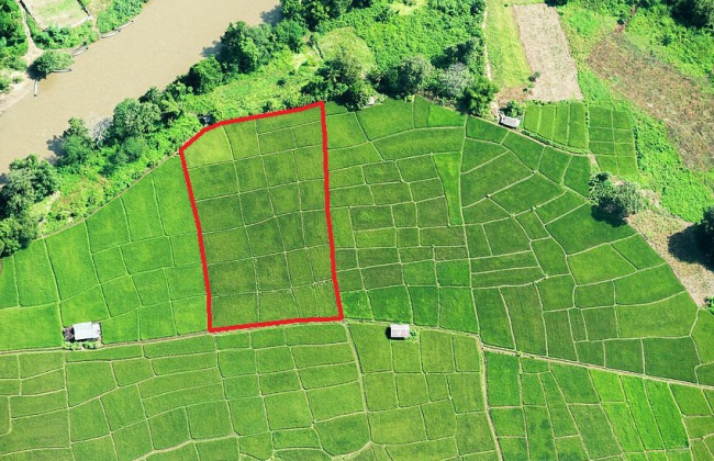 Калуський міськрайонний суд Івано-Франківської області конфіскував земельні ділянки росіянина у власність держави