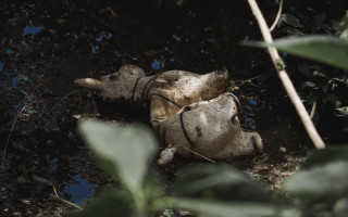 На Херсонщині комісії розпочали обстеження житла, пошкодженого або зруйнованого внаслідок підриву Каховської ГЕС