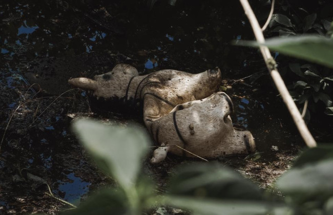 На Херсонщине комиссии начали обследование жилья, поврежденного или разрушенного в результате подрыва Каховской ГЭС