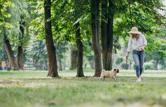 Какой уровень загрязненности воздуха и радиационный фон в Киеве 22 июня