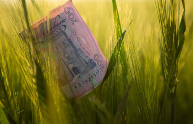 У Податковій пояснили, за яких умов не визначається мінімальне податкове зобов’язання