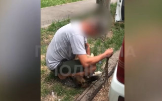 У Києві врятували собаку, якого господарі зачинили у спеку в машині: відео