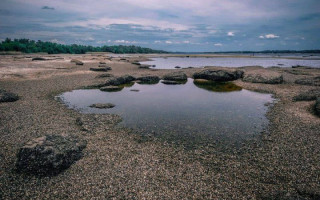Каховское водохранилище превращается в реку, — экологи