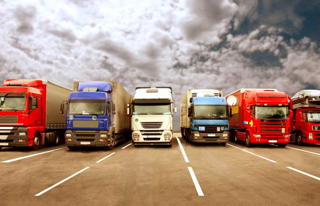 Абрикоси, вишні та персики: оновлено перелік швидкопсувних товарів для пріоритетного перетину кордону