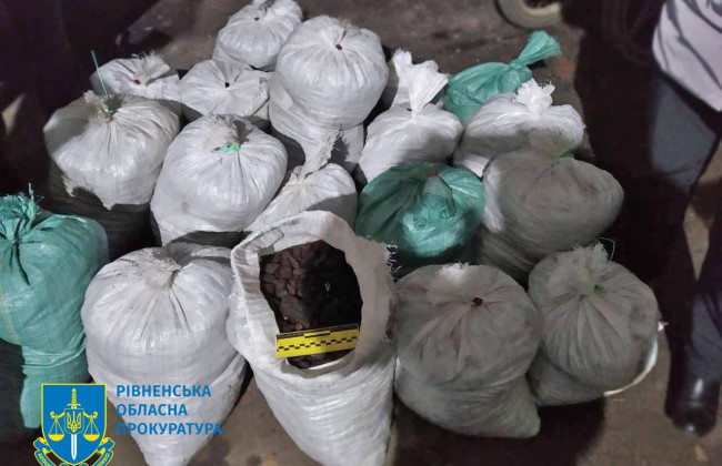 В Ровенской области будут судить мужчину, который перевозил незаконно приобретенный янтарь между мешками с овощами