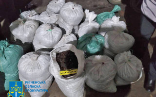 В Ровенской области будут судить мужчину, который перевозил незаконно приобретенный янтарь между мешками с овощами