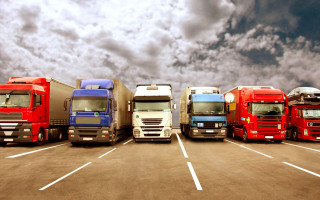 Абрикосы, вишни и персики: обновлен перечень скоропортящихся товаров для приоритетного пересечения границы