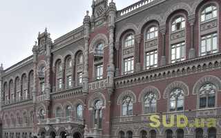 Нацбанк затвердив стратегію пом’якшення валютних обмежень і повернення до гнучкого обмінного курсу