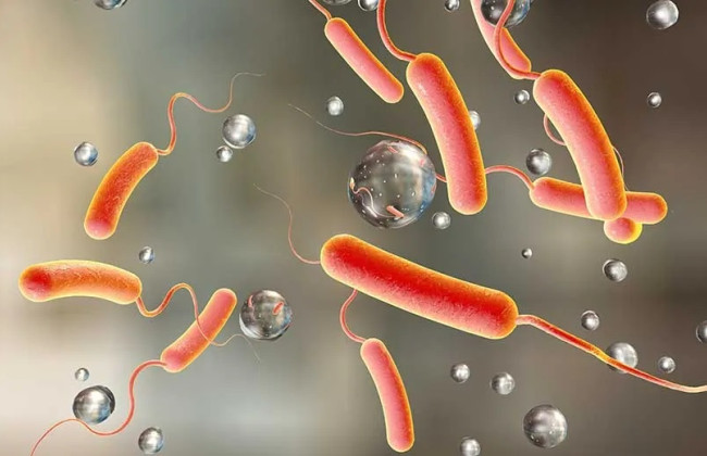 Чи можуть холероподібні вібріони, які знаходять у водоймах, бути збудниками холери: відповідь МОЗ