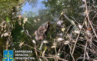 Под Харьковом зафиксирована массовая гибель рыбы и диких уток