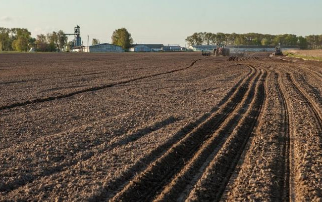 В Офісі протидії рейдерству розповіли про алгоритм дій щодо нерозподілених земельних ділянок