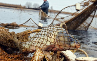 Риболовля сітками обійдеться у майже 193 тисяч гривень: суд ухвалив рішення щодо двох рибалок