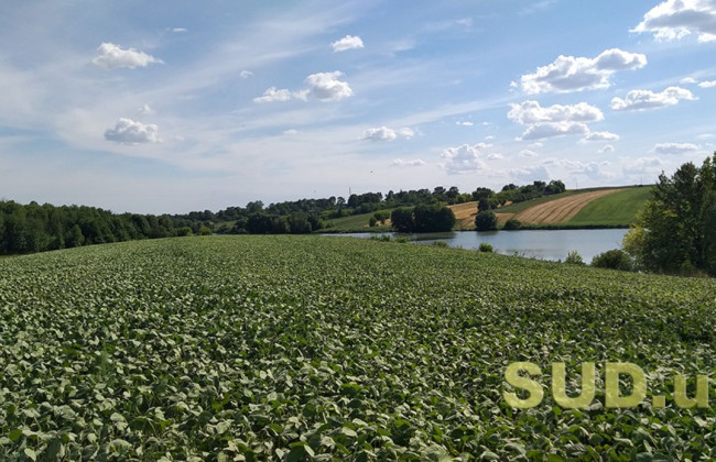 Внесены изменения в некоторые акты Кабмина по охране земель и почв