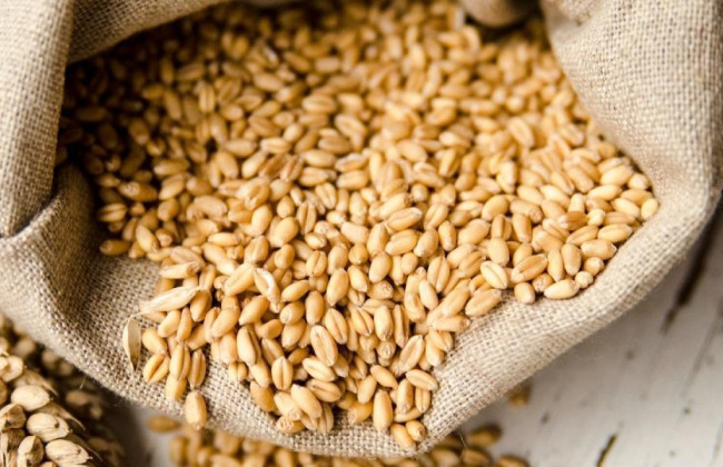 Получил российское гражданство и сотрудничал с оккупантами: подозревают предпринимателя из Луганской области