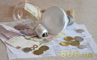 Как подать заявление на оформление субсидии: разъяснение