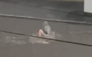 У Києві дівчину знесло потоком води на дорозі під час зливи, відео