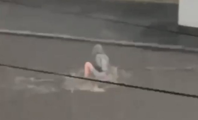 У Києві дівчину знесло потоком води на дорозі під час зливи, відео